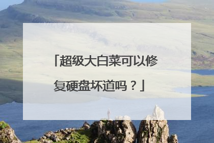 超级大白菜可以修复硬盘坏道吗？