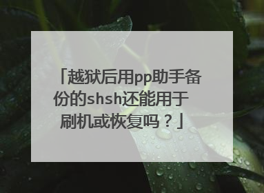 越狱后用pp助手备份的shsh还能用于刷机或恢复吗?