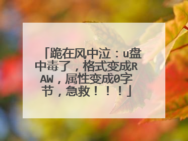 跪在风中泣:u盘中毒了,格式变成RAW,属性变成0字节,急救!!!