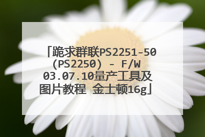 跪求群联PS2251-50(PS2250) - F/W 03.07.10量产工具及图片教程 金士顿16g