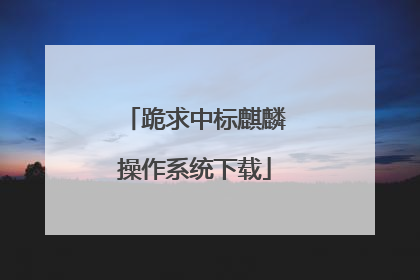 跪求中标麒麟操作系统下载