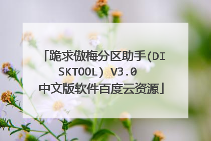 跪求傲梅分区助手(DISKTOOL) V3.0 中文版软件百度云资源