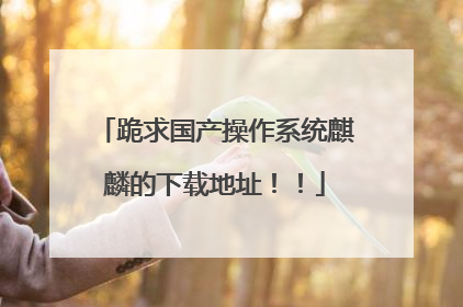 跪求国产操作系统麒麟的下载地址!!