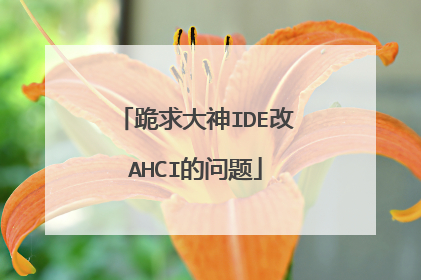 跪求大神IDE改AHCI的问题