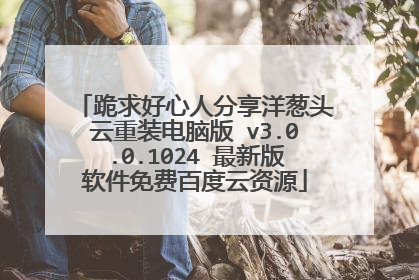 跪求好心人分享洋葱头云重装电脑版 v3.0.0.1024 最新版软件免费百度云资源