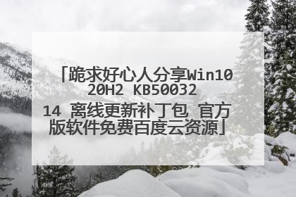 跪求好心人分享Win10 20H2 KB5003214 离线更新补丁包 官方版软件免费百度云资源