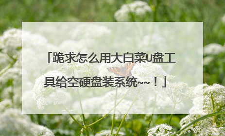 跪求怎么用大白菜U盘工具给空硬盘装系统~~!