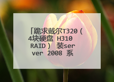 跪求戴尔T320(4块硬盘 H310 RAID) 装server 2008 系统 步骤 U盘安装
