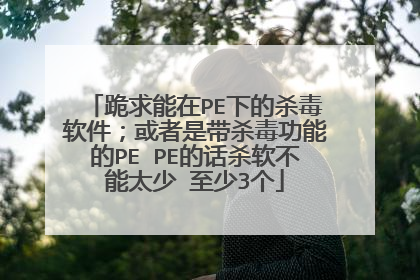 跪求能在PE下的杀毒软件;或者是带杀毒功能的PE PE的话杀软不能太少 至少3个