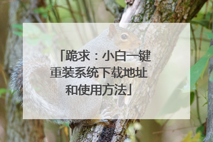 跪求:小白一键重装系统下载地址和使用方法