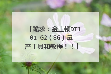跪求:金士顿DT101 G2(8G)量产工具和教程!!