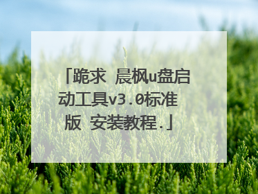 跪求 晨枫u盘启动工具v3.0标准版 安装教程.