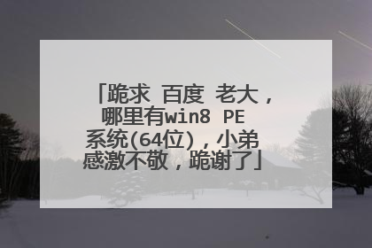 跪求 百度 老大,哪里有win8 PE系统(64位),小弟感激不敬,跪谢了