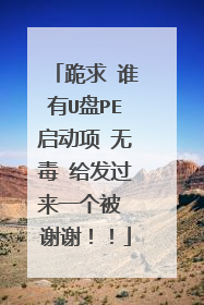 跪求 谁有U盘PE启动项 无毒 给发过来一个被 谢谢！！