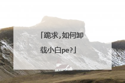 跪求,如何卸载小白pe?
