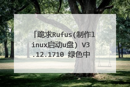 跪求Rufus(制作linux启动u盘) V3.12.1710 绿色中文版软件百度云资源