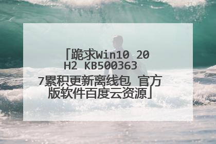 跪求Win10 20H2 KB5003637累积更新离线包 官方版软件百度云资源