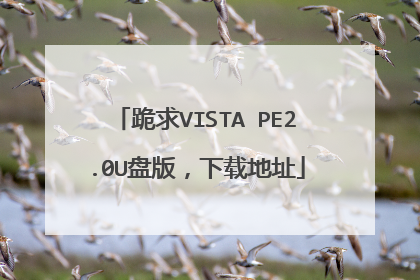 跪求VISTA PE2.0U盘版，下载地址