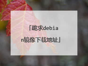 跪求debian镜像下载地址