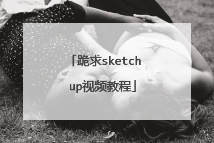 跪求sketch up视频教程