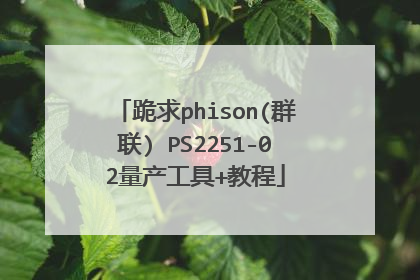 跪求phison(群联) PS2251-02量产工具+教程