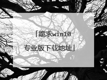 跪求win10专业版下载地址