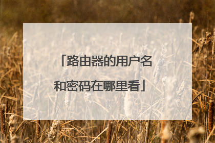 路由器的用户名和密码在哪里看