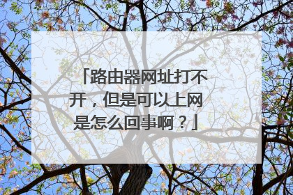 路由器网址打不开，但是可以上网是怎么回事啊？
