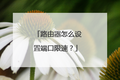 路由器怎么设置端口限速？