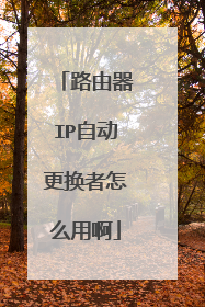 路由器IP自动更换者怎么用啊