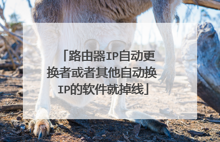 路由器IP自动更换者或者其他自动换IP的软件就掉线