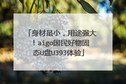 身材虽小,用途强大!aigo国民好物固态U盘U393体验