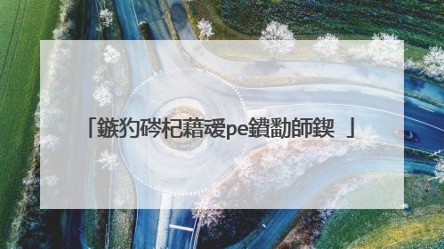 鏃犳硶杞藉叆pe鐨勫師鍥�