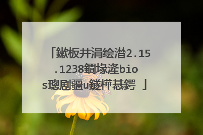 鏉板井涓绘澘2.15.1238鐗堟湰bios璁剧疆u鐩樺惎鍔�
