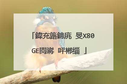 鍏充簬鍗庣�旻X80GE閲嶈�呯郴缁�