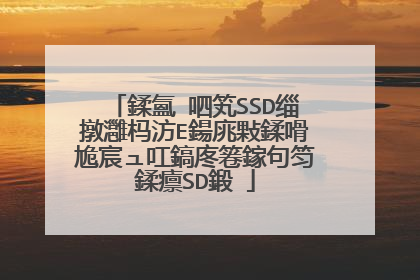 鍒氳�呬笂SSD缁撴灉杩汸E鍚庣敤鍒嗗尯宸ュ叿鎬庝箞鎵句笉鍒癝SD鍛�