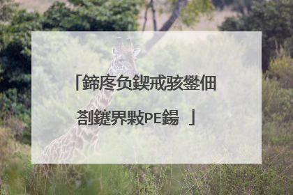鍗庝负鍥戒骇鐢佃剳鑳界敤PE鍚�