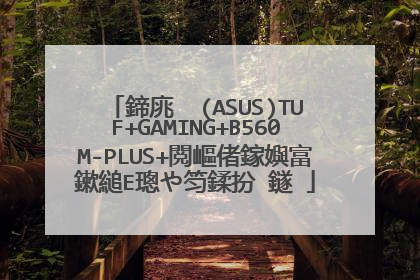 鍗庣��(ASUS)TUF+GAMING+B560M-PLUS+閲嶇偖鎵嬩富鏉縋E璁や笉鍒扮‖鐩�