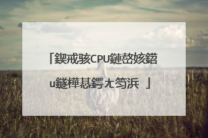 鍥戒骇CPU鏈嶅姟鍣� u鐩樺惎鍔ㄤ笉浜�
