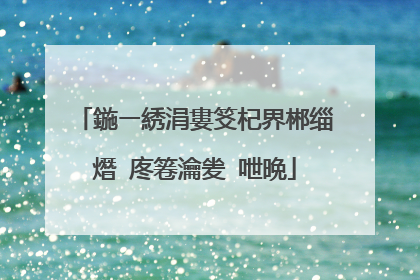 鍦ㄧ綉涓婁笅杞界郴缁熸�庝箞瀹夎�呭晩