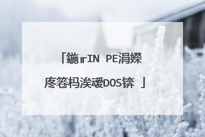 鍦╓IN PE涓嬫�庝箞杩涘叆DOS锛�