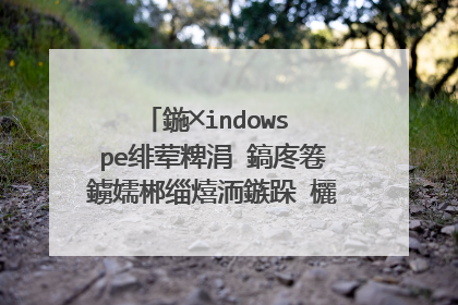 鍦╳indows pe绯荤粺涓�鎬庝箞鐪嬬郴缁熺洏鏃跺�欐槸娲诲姩鐘舵��