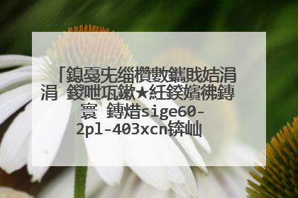 鎴戞兂缁欑數鑴戝姞涓�涓�鍐呭瓨鏉★紝鍨嬪彿鏄�寰�鏄焟sige60-2pl-403xcn锛屾兂闂�涓�涓嬭繖涓�绗旇�版湰鐨勫唴瀛樻潯