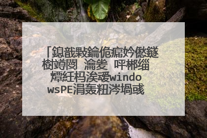 鎴戠敤鑰佹瘺妗僽鐩樹竴閿�瀹夎�呯郴缁燂紝杩涘叆windowsPE涓轰粈涔堝彧鏄剧ず鎴戠殑鐢佃剳鍜屼竴涓�璇存槑浜�