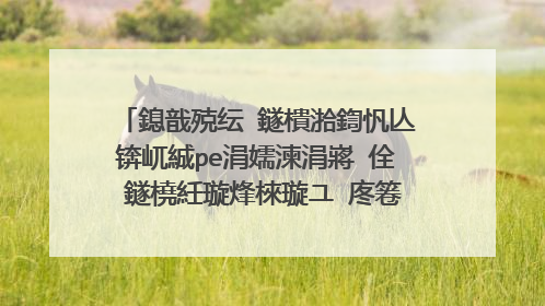 鎴戠殑纭�鐩樻湁鍧忛亾锛屼絾pe涓嬬湅涓嶈�佺‖鐩橈紝璇烽棶璇ユ�庝箞璁剧疆鎵嶈�岋紵