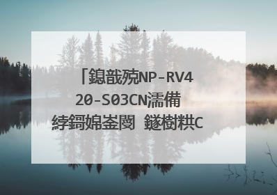 鎴戠殑NP-RV420-S03CN濡備綍鎶婂崟閿�鐩樹粠C澹充腑鎷嗗嚭鏉�?