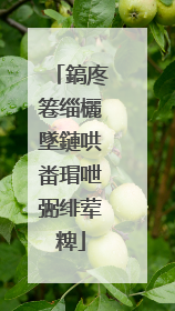 鎬庝箞缁欐墜鏈哄畨瑁呭弻绯荤粺