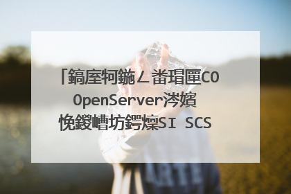鎬庢牱鍦ㄥ畨瑁匰CO OpenServer涔嬪悗鍐嶆坊鍔燣SI SCSI鐨勯┍鍔ㄧ▼搴�
