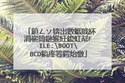 鎮ㄥソ锛岀數鑴戝紑涓嶄簡鏈猴紝鍑虹幇FILE:BOOTBCD鎬庝箞鍔炲憿