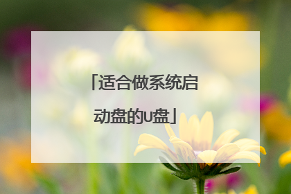 适合做系统启动盘的U盘